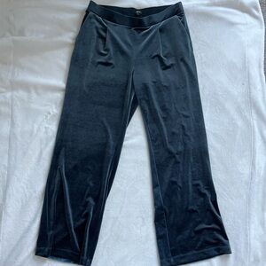 Loft Navy blue velour pants